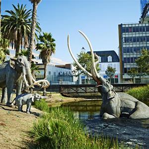 LA BREA TAR PITS